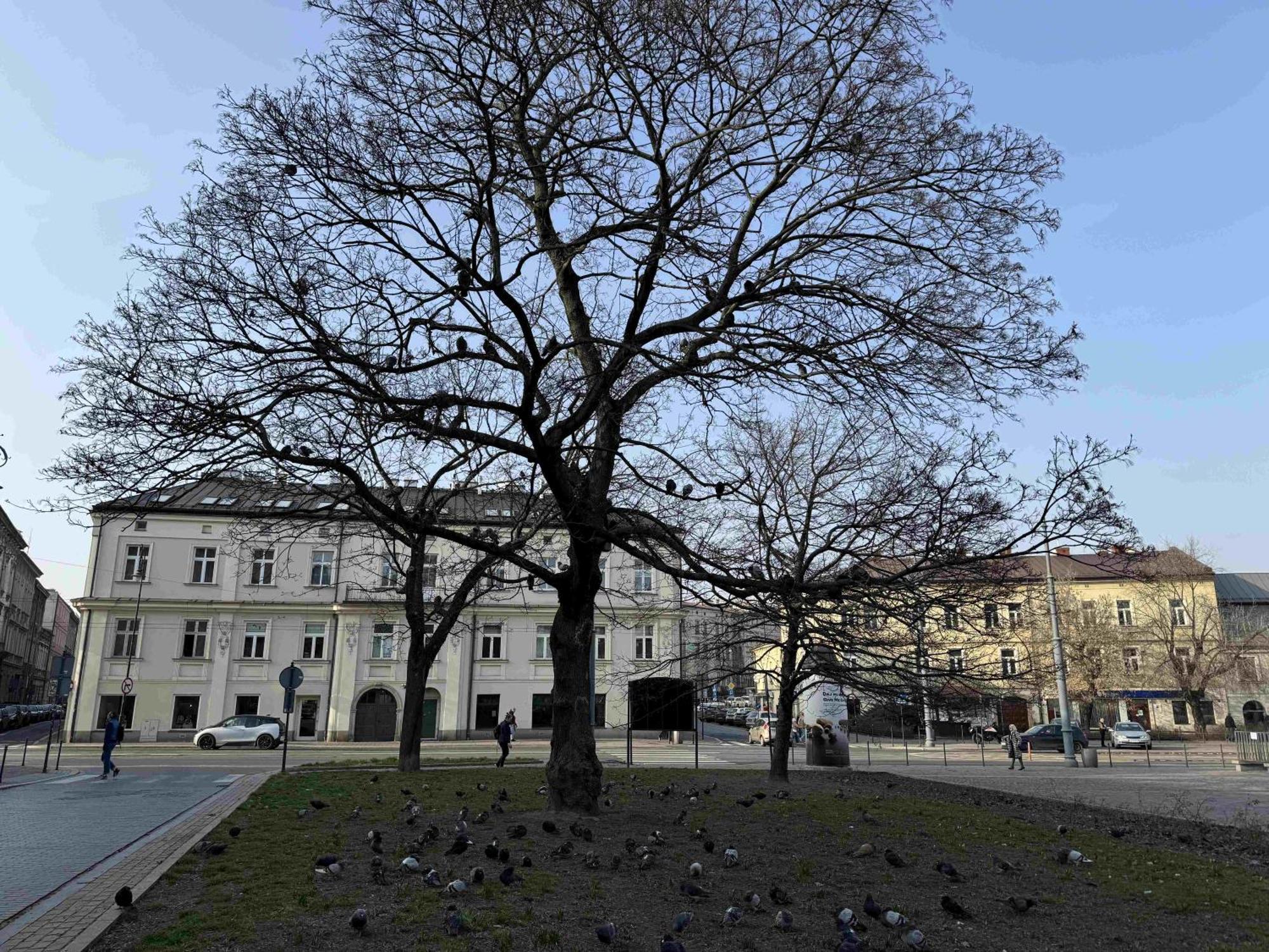 Art Apartment Stare Podgorze Free Parking Krakow Exterior photo